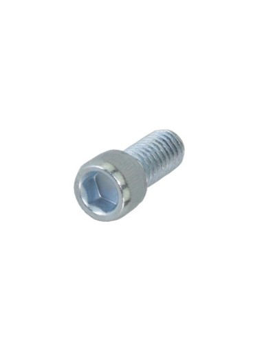 Kickstand Bolt Allen Head 9x19mm Chrome.